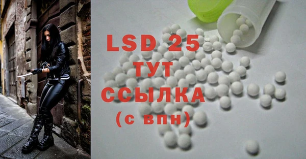 индика Березники